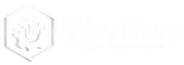 WavNova Logo